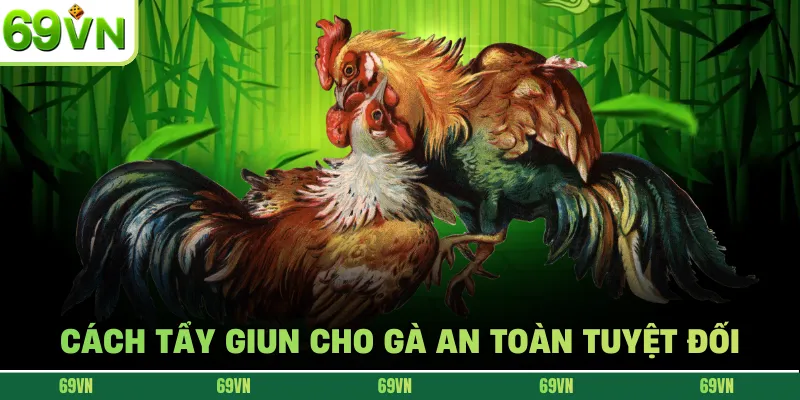 Cách tẩy giun cho gà an toàn tuyệt đối