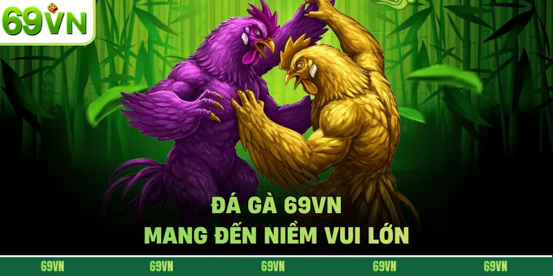 Đá gà 69VN mang đến niềm vui lớn