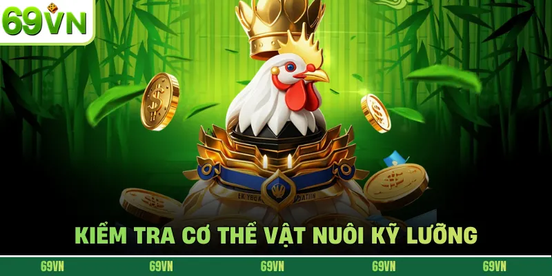 Kiểm tra cơ thể vật nuôi kỹ lưỡng