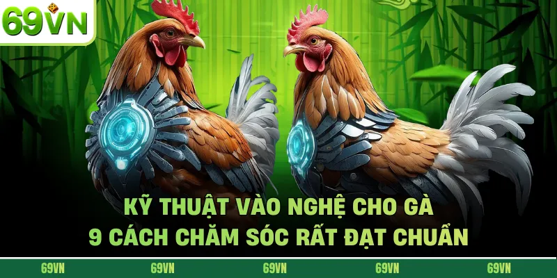 Kỹ Thuật Vào Nghệ Cho Gà - 9 Cách Chăm Sóc Rất Đạt Chuẩn