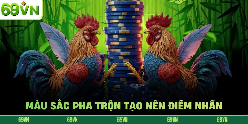 Màu sắc pha trộn tạo nên điểm nhấn