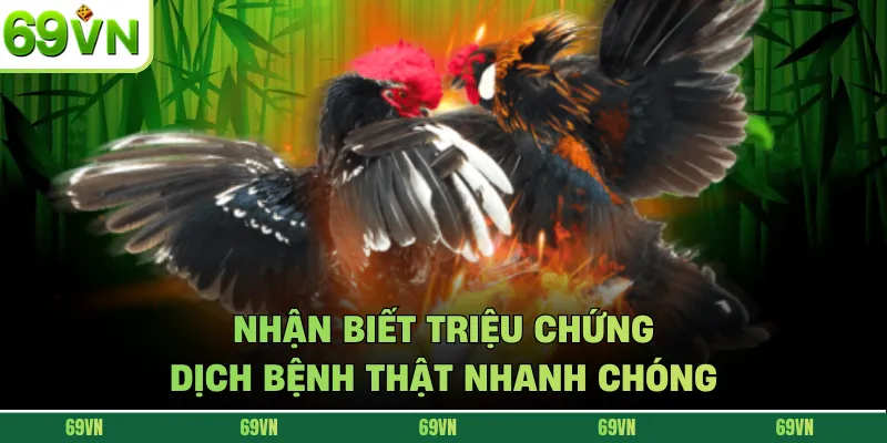 Nhận biết triệu chứng dịch bệnh thật nhanh chóng