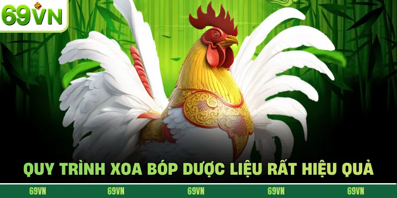 Quy trình xoa bóp dược liệu rất hiệu quả